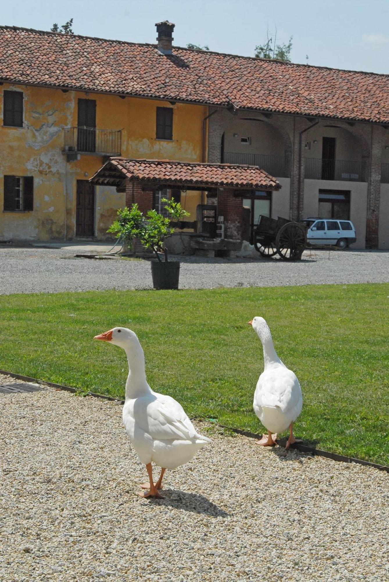 Hotel Antico Podere Propano Saluzzo Kültér fotó